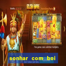 sonhar com boi jogo do bicho